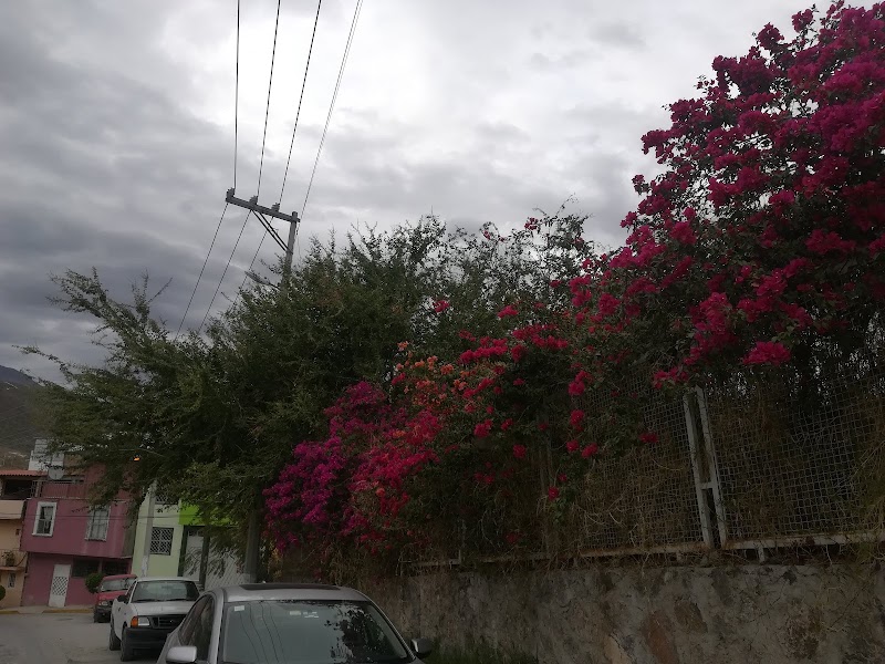 Parque Ampliación Lázaro Cárdenas