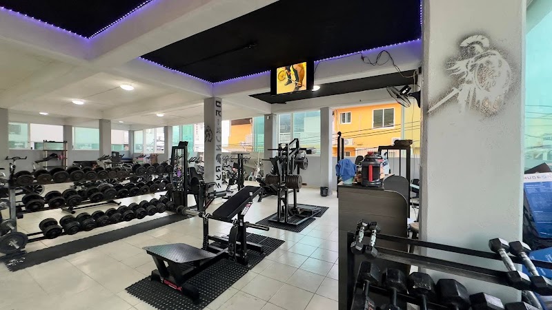 Crixus Gym