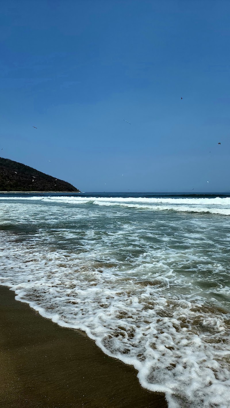La barra