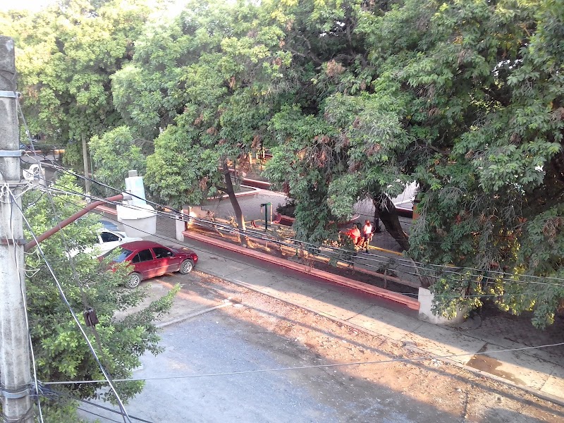 ALAMEDA DE IGUALA
