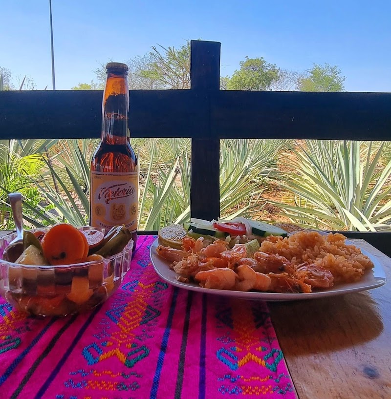 Los Agaves