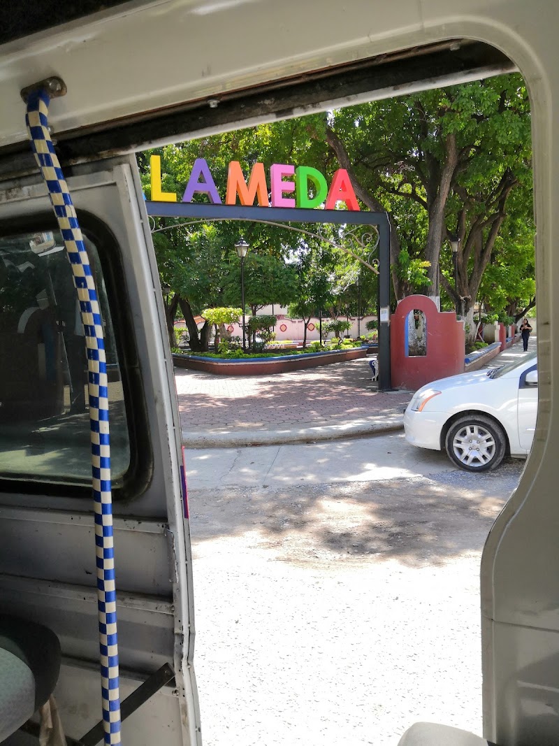 ALAMEDA DE IGUALA
