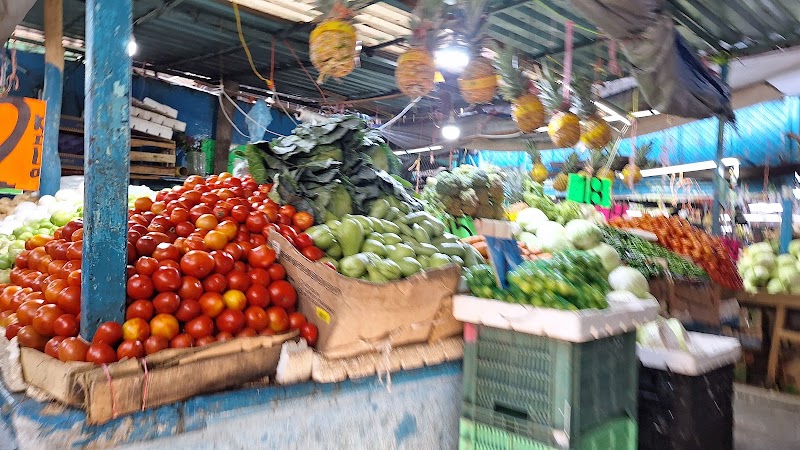 Mercado Municipal "Adrián Castrejón"
