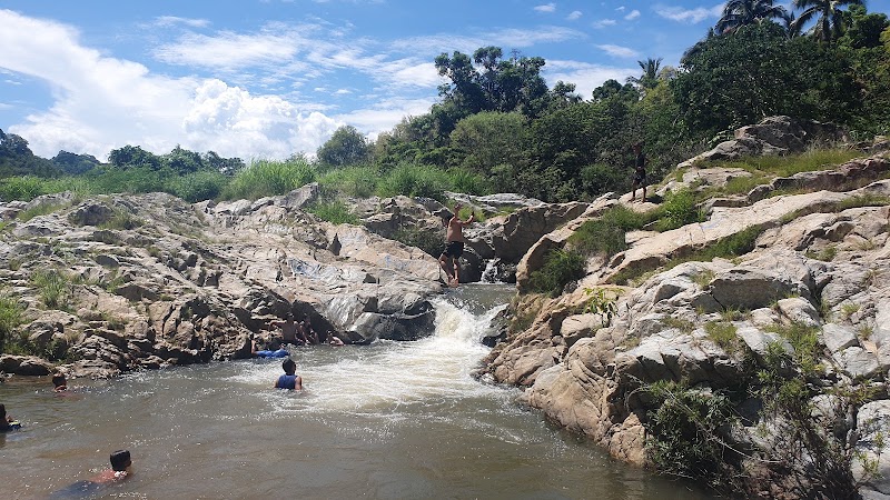 poza del lagarto