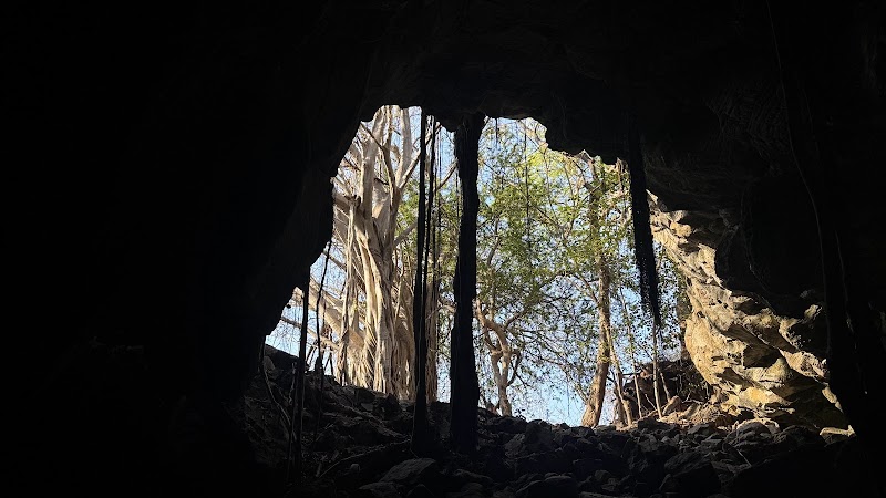Cueva del tigre