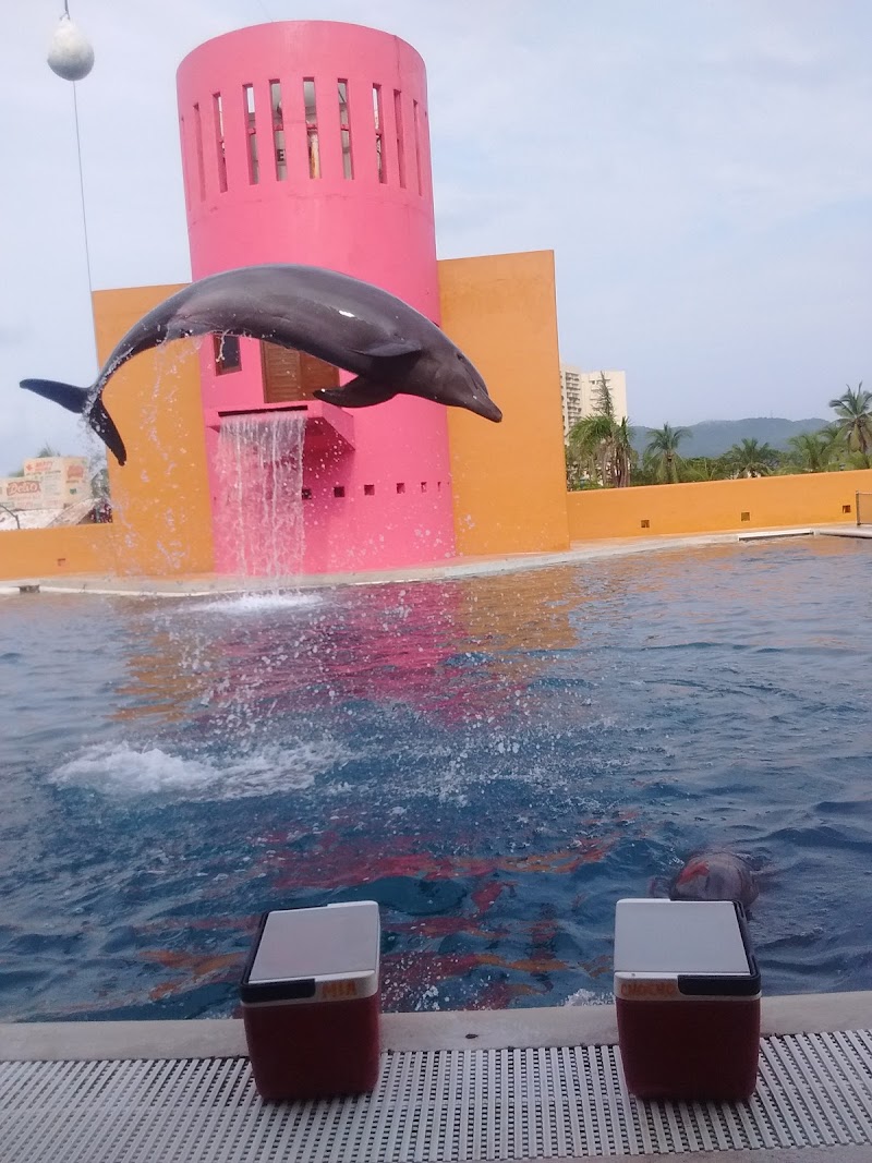 Delfiniti de México