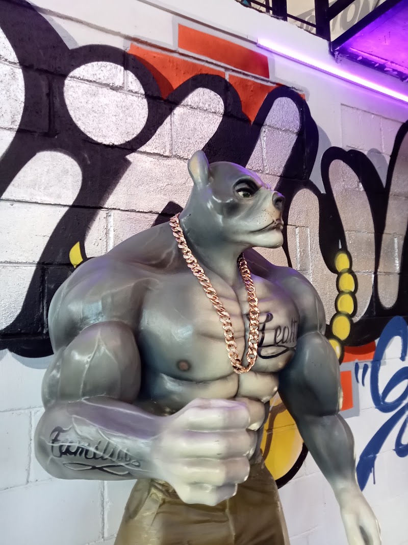 Pitbull Gym