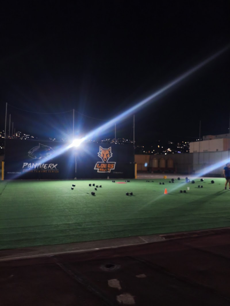 PantherX Terraza