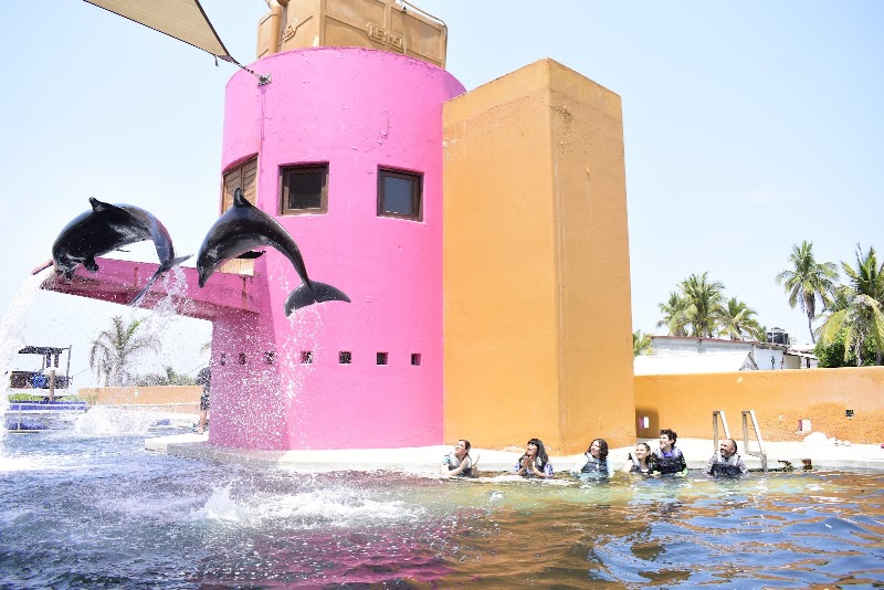 Delfiniti de México