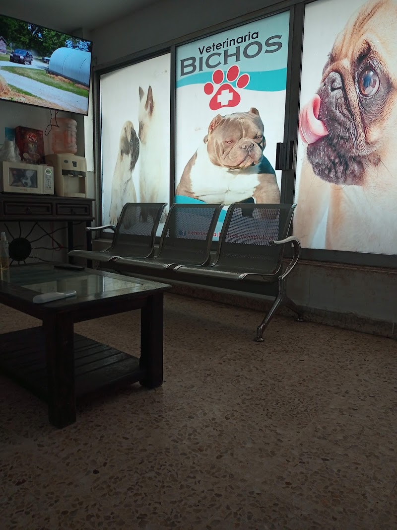 Clínica Veterinaria
