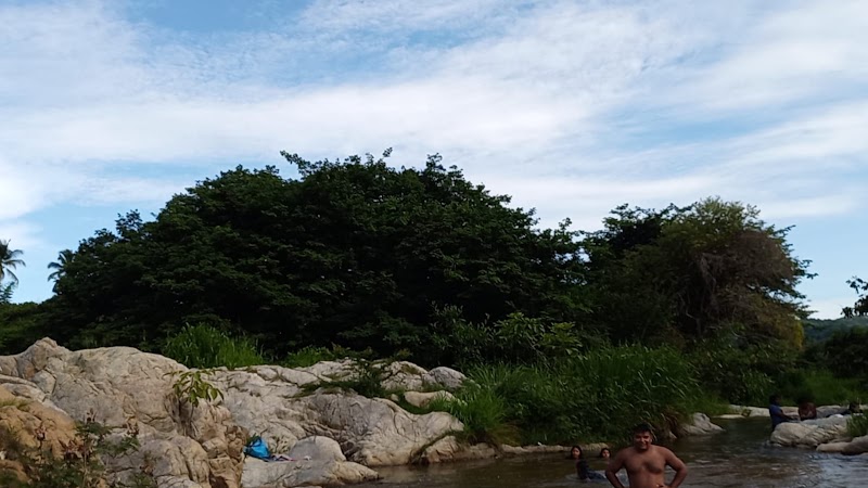 poza del lagarto