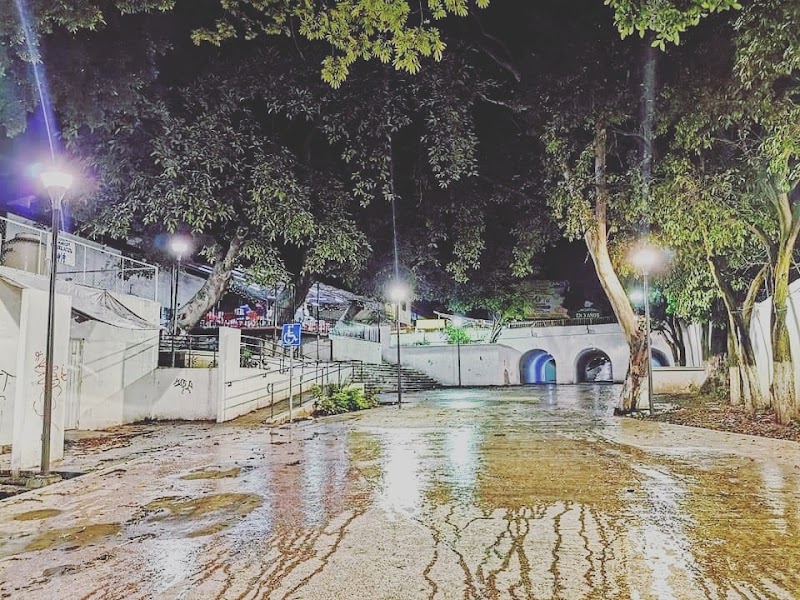 Parque Pezuapa