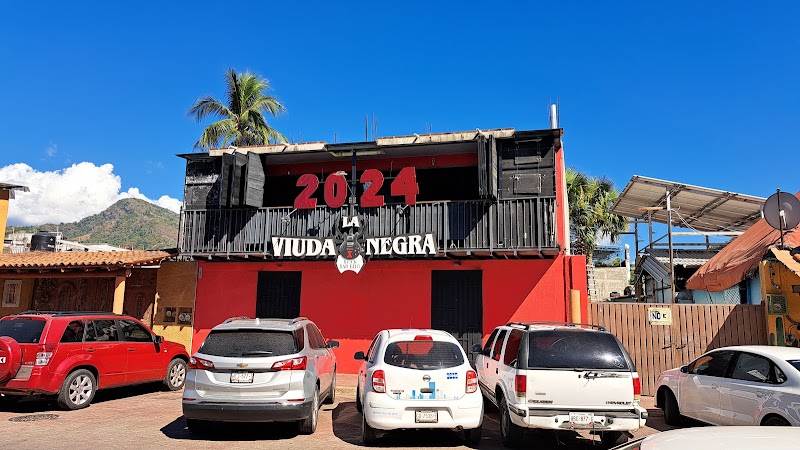 la viuda negra