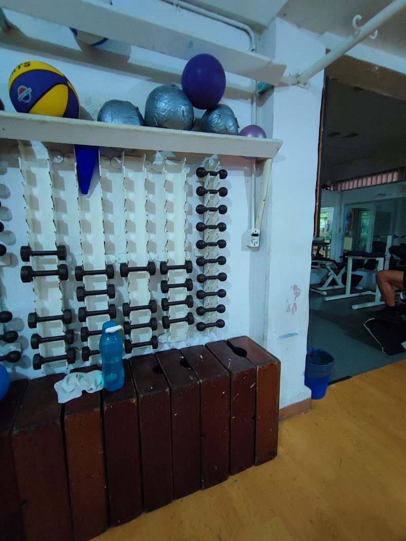 Alex ´ D Gym