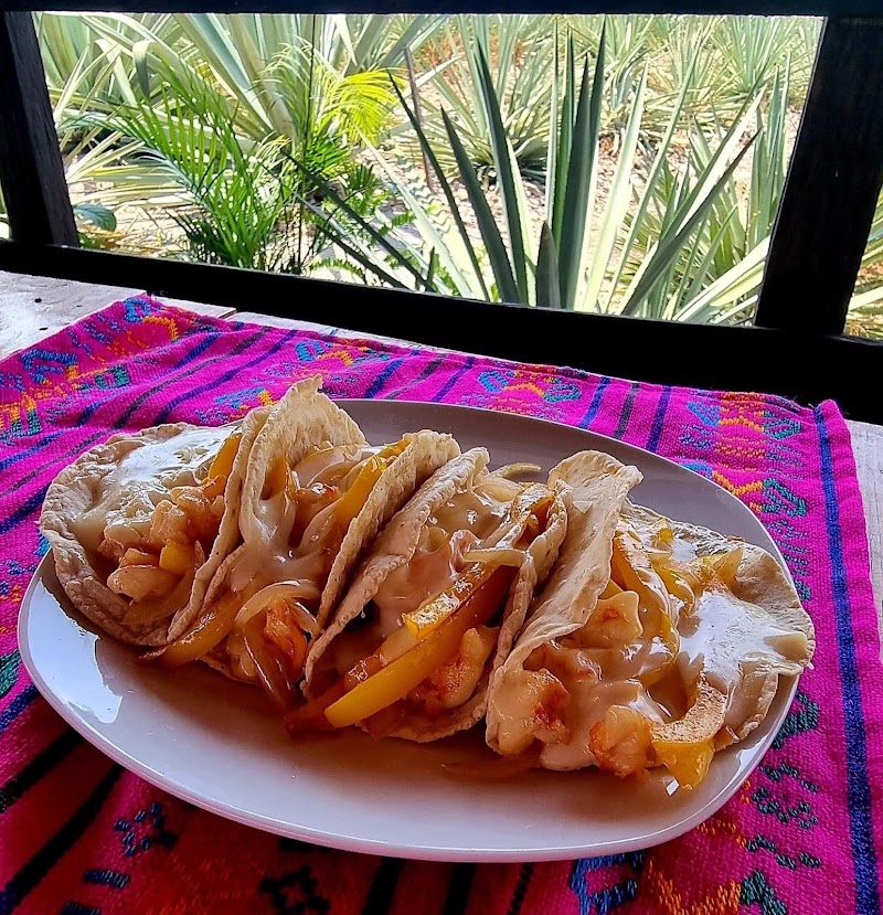 Los Agaves
