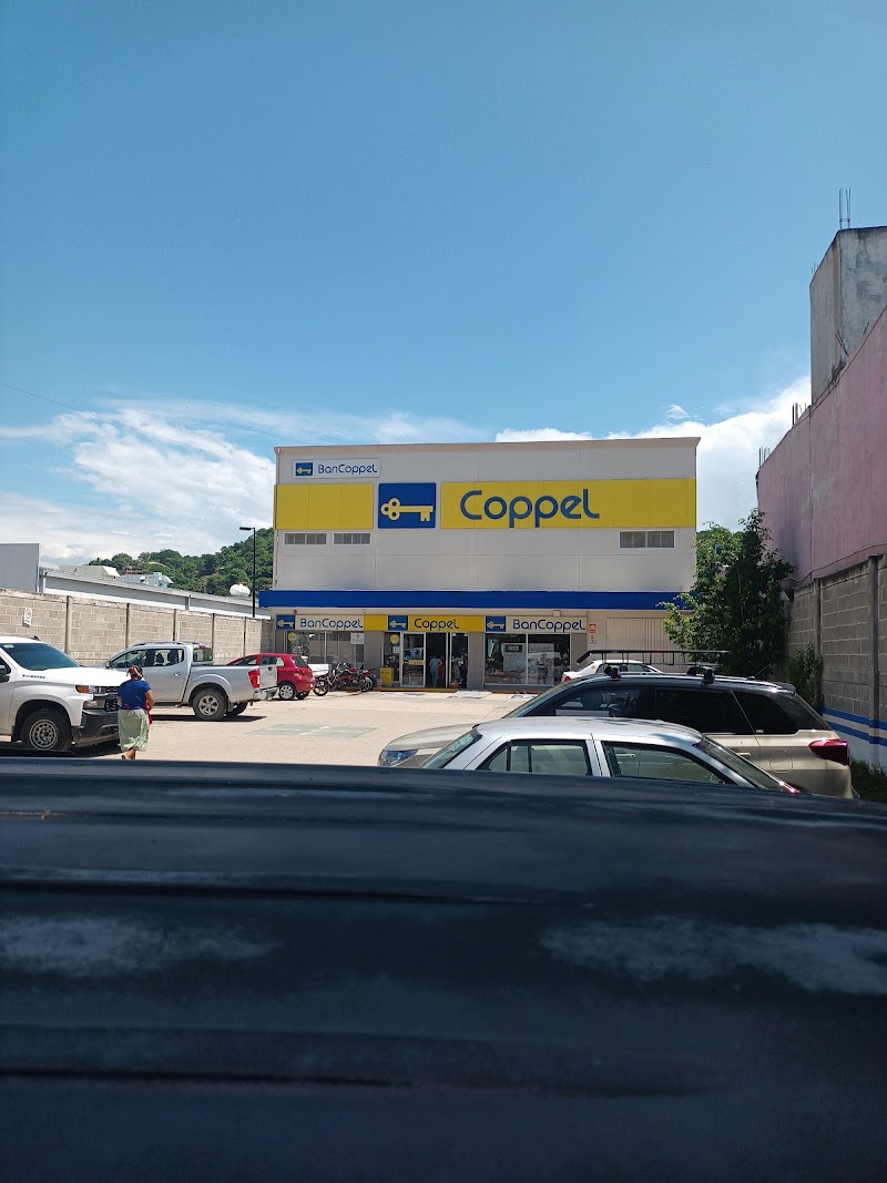 Coppel Las Palmeras