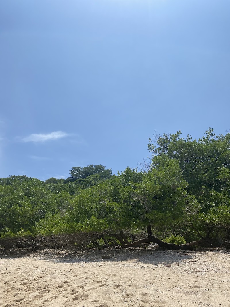 Playa coral 🪸🪸