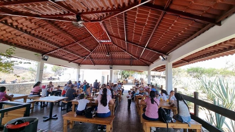 Los Agaves