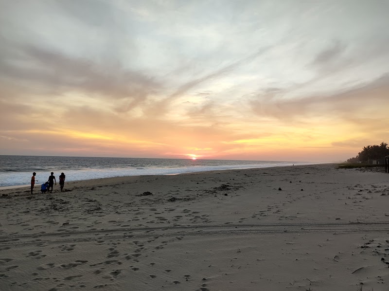 LAS PLAYAS CAMPO TORTUGUERO DE PRESERVACIÓN DE TORTUGAS MARINAS