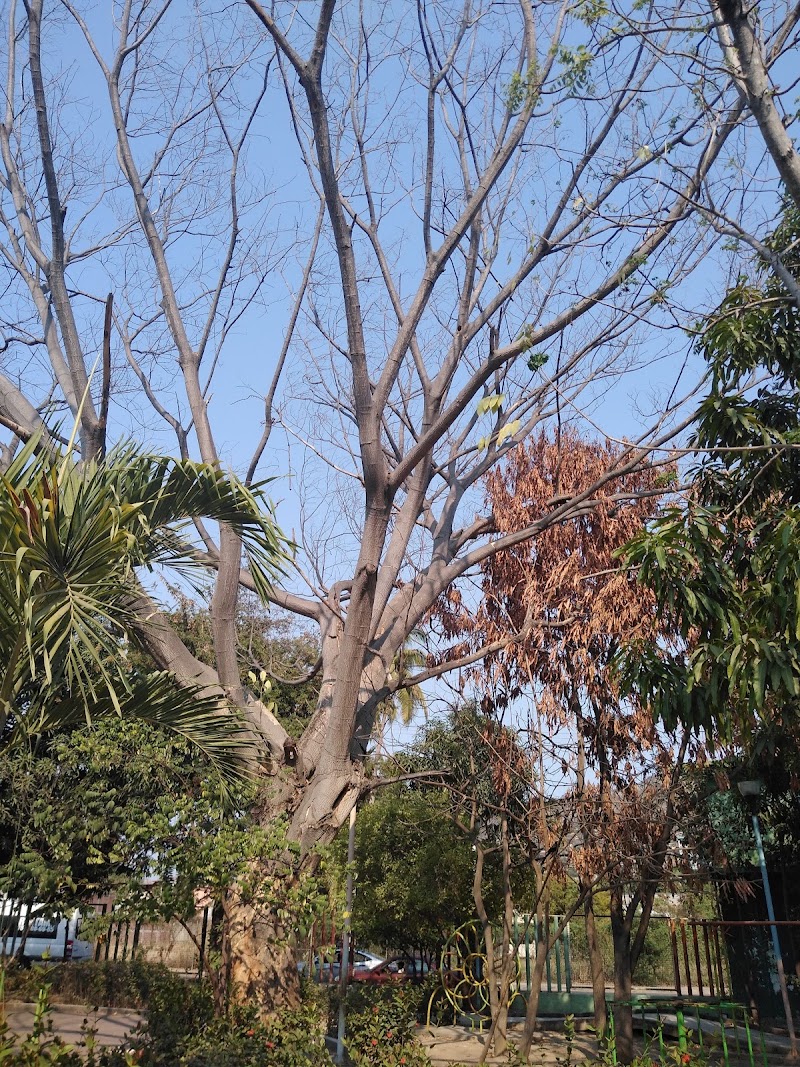 Parque de la Juventud