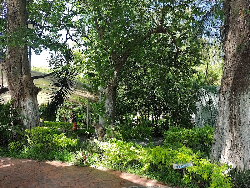 Parque Ecologico Los Manantiales