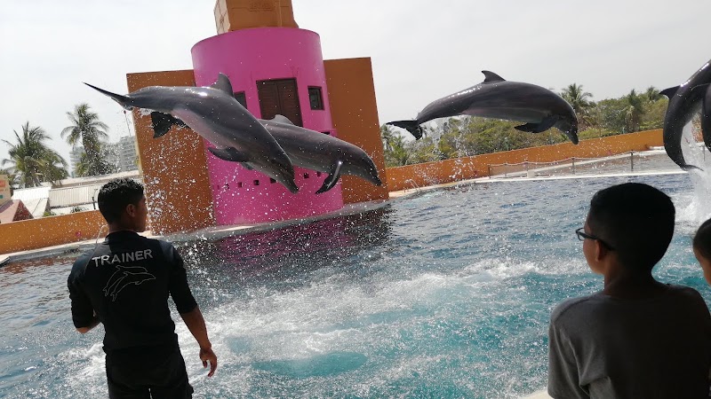 Delfiniti de México