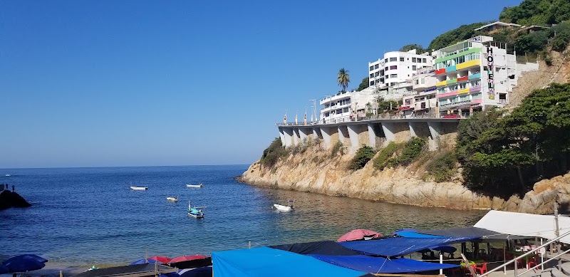 La jungla