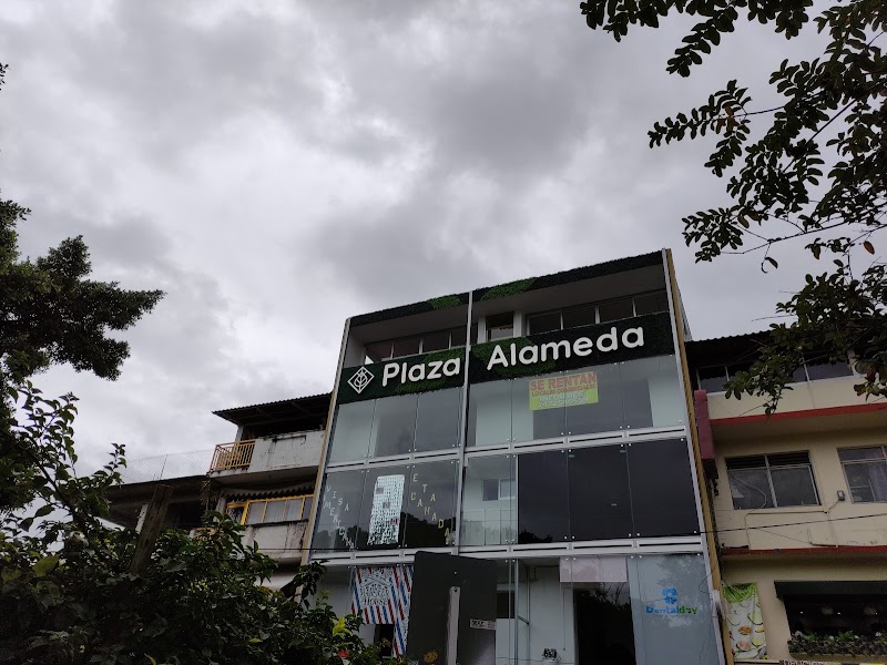 Plaza Alameda Chilpancingo