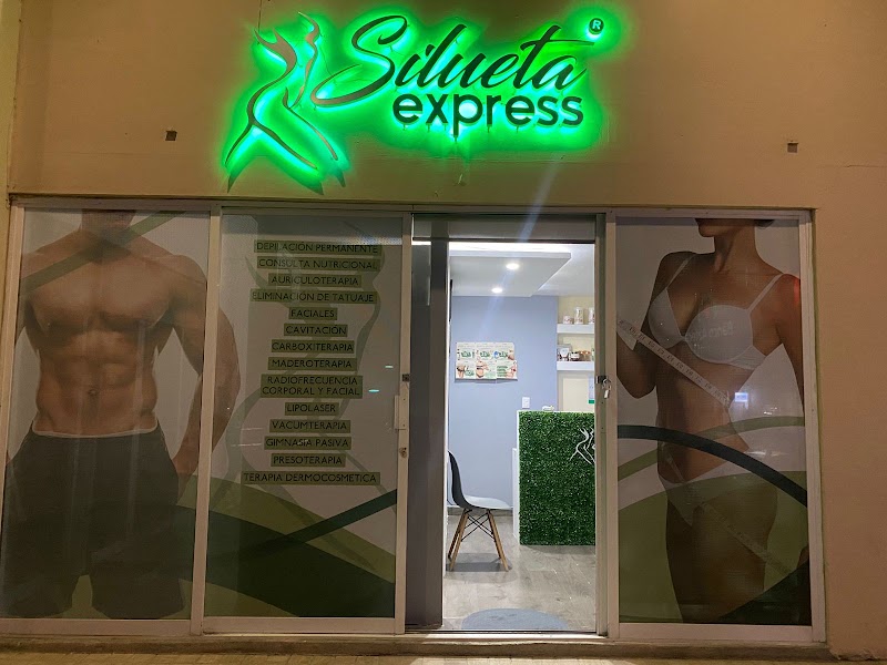 Silueta Express Chilpancingo
