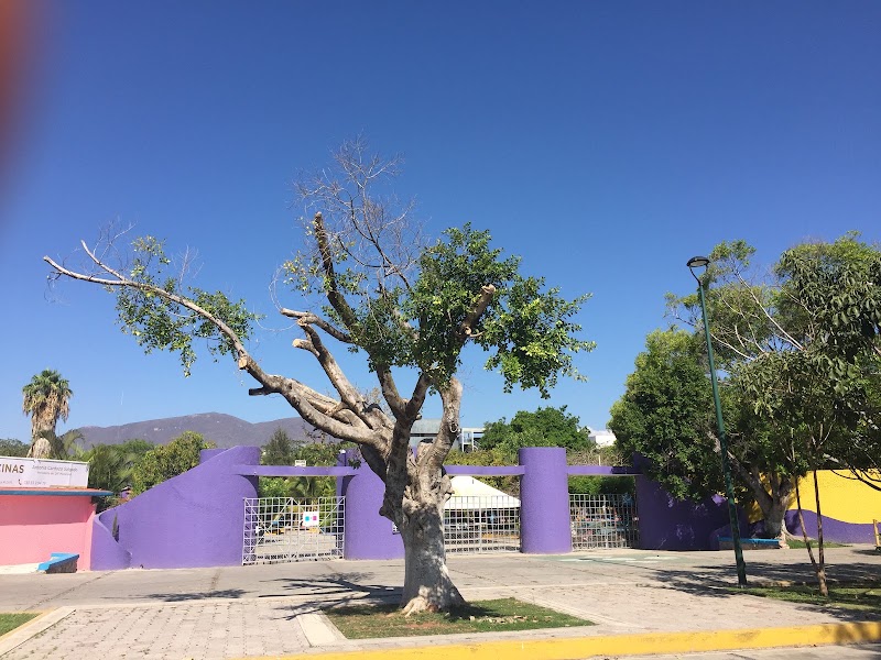 CICI Iguala