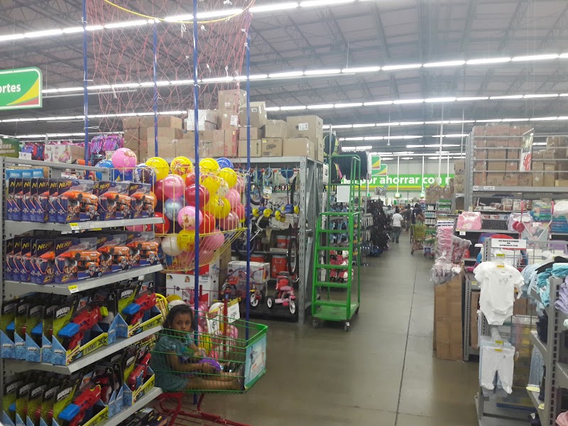 Bodega Aurrerá El Hujal
