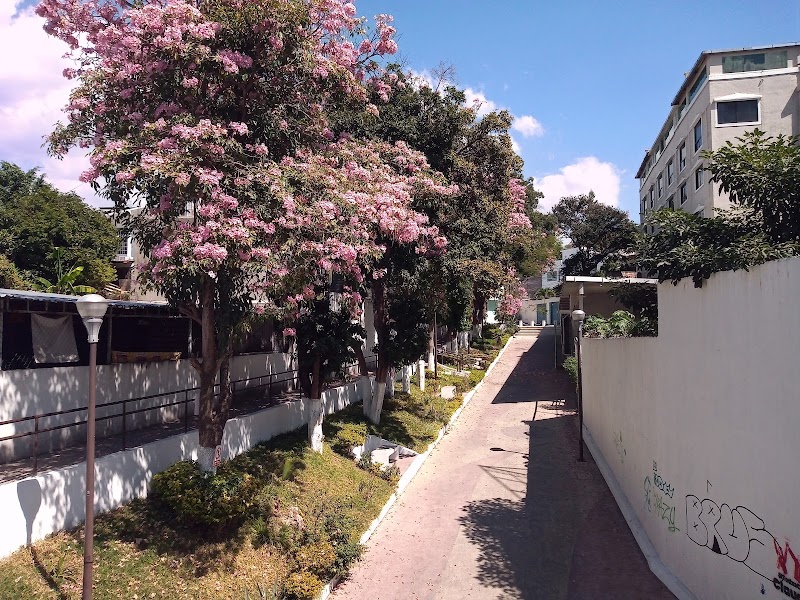 Parque Pezuapa