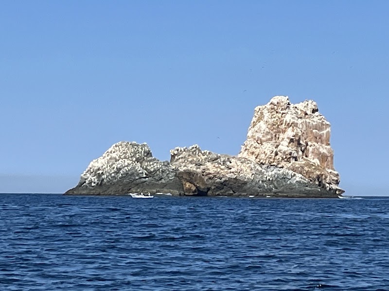 Torecillas