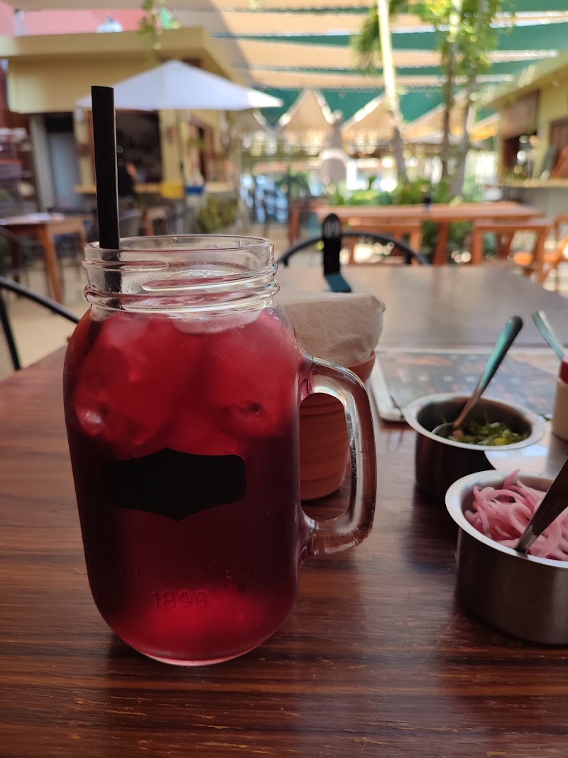 Terraza Gastronómica El Palmar