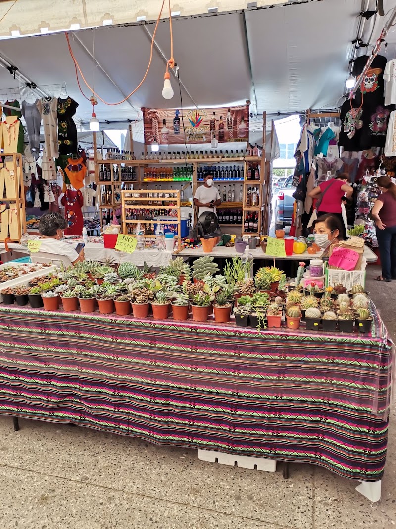Galerías Tamarindos Iguala