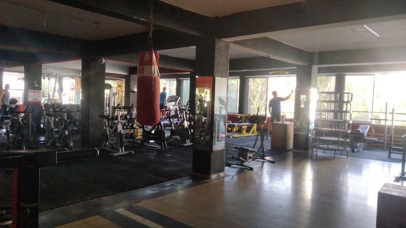 The King Gym