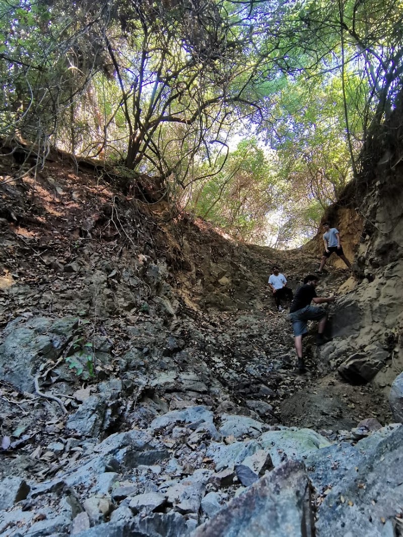 Sendero A Los Sembradios Parque El Limon