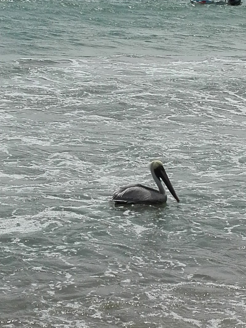 Playa Hornitos