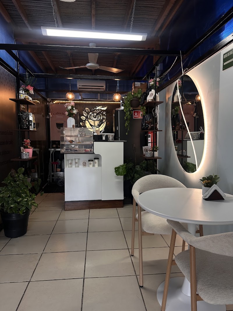 Raíz y Barro