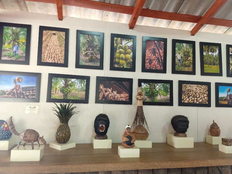 MUSEO del COCO