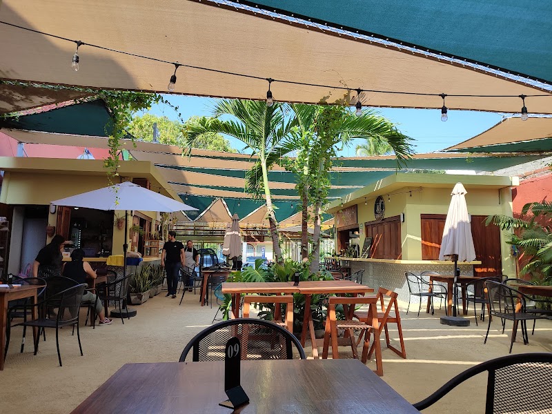 Terraza Gastronómica El Palmar