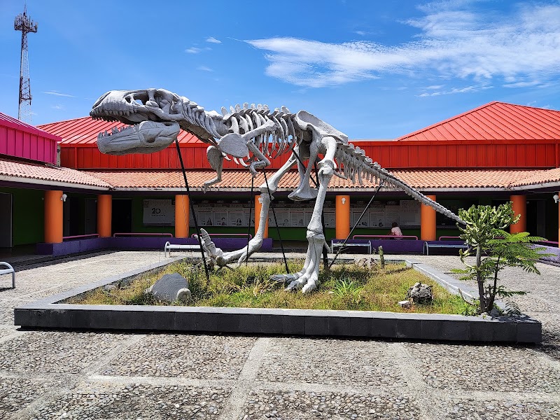 La Avispa Museo Interactivo.