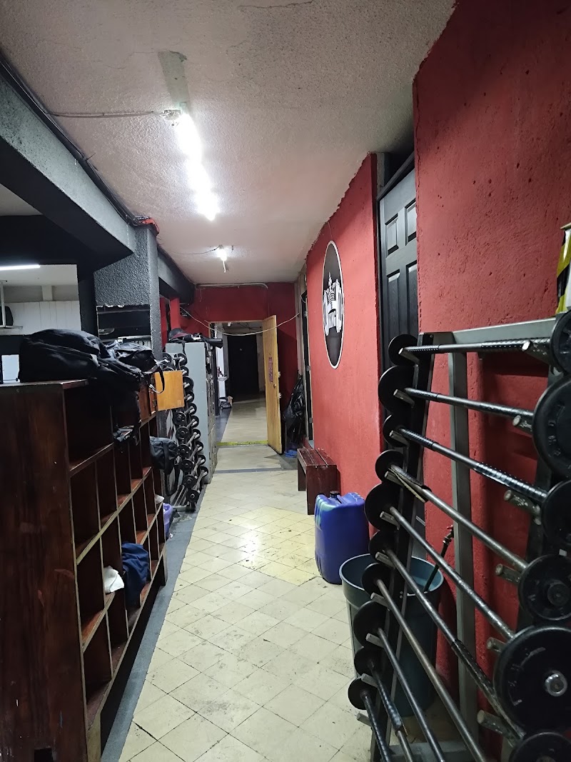 The King Gym