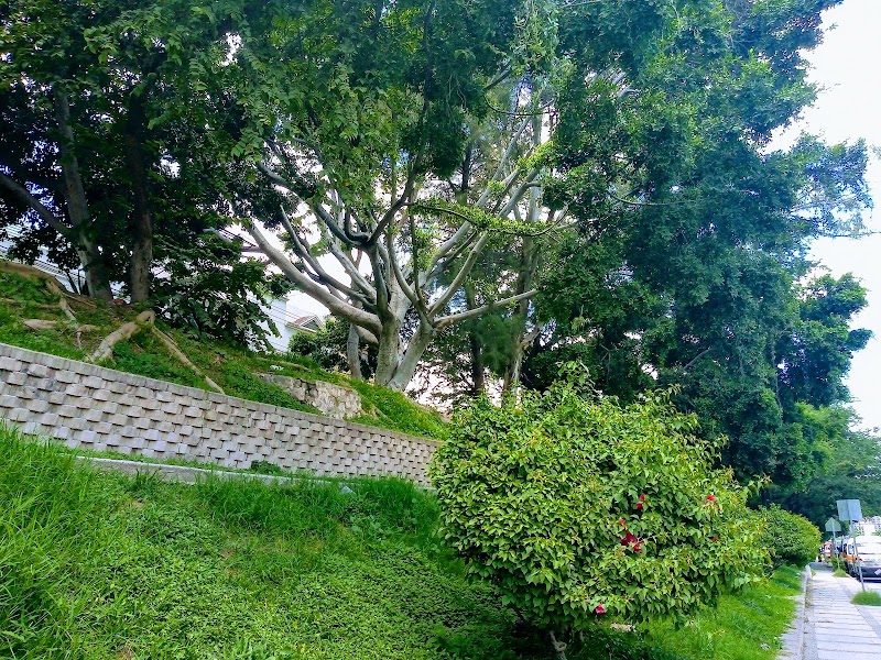 Parque Margarita Maza de Juarez