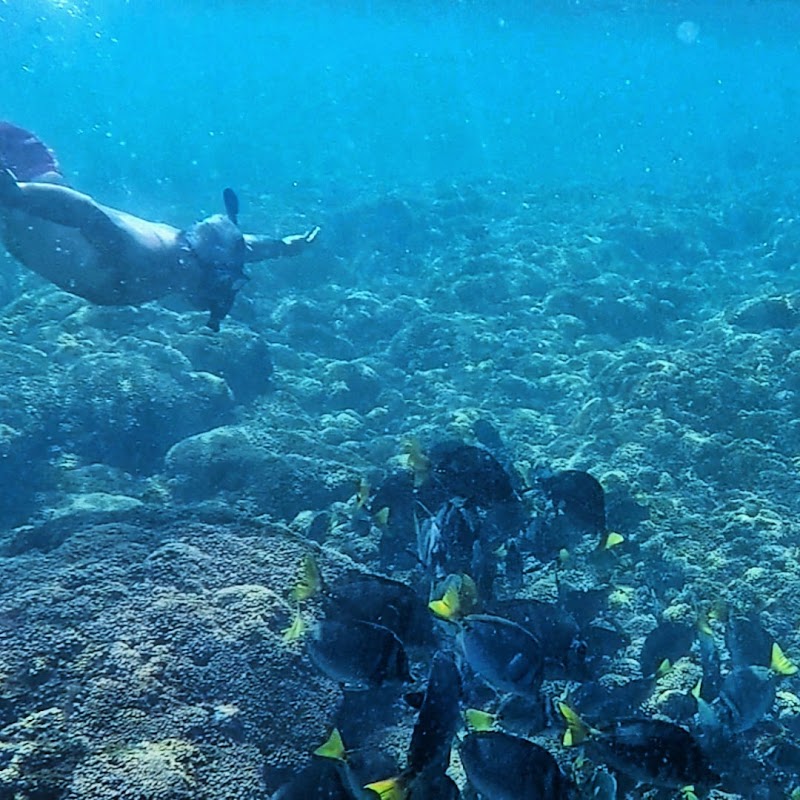 Zona de Snorkel