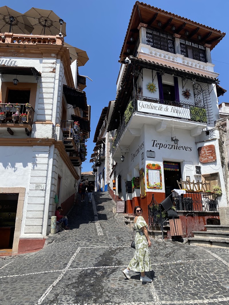 Tepoznieves