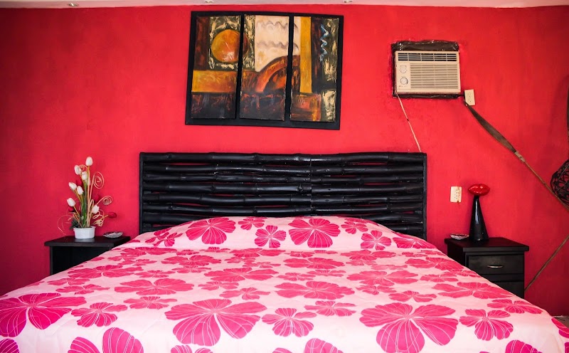 HOTEL TEMAZCAL Y SPA COQUIS