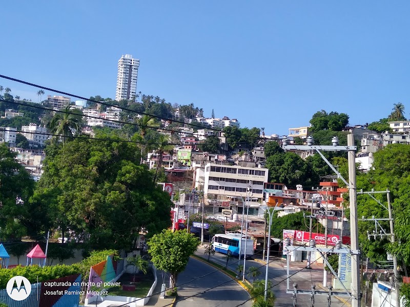 La jungla