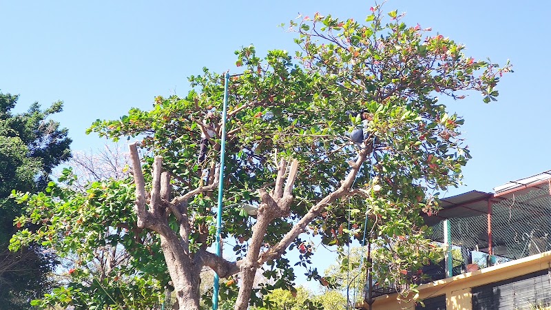 Parque Nina