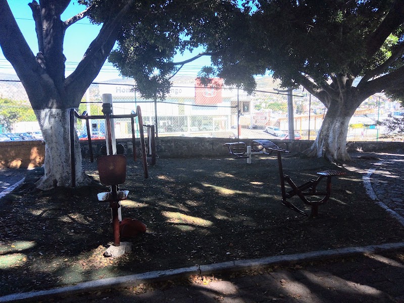 Parque de la Col. del PRI